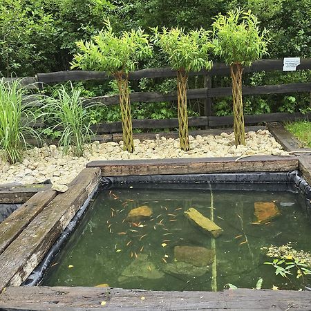Vip Village Las Woda Rower - Podgrzewany Basen, Balia, Sauna Miedzierza 外观 照片